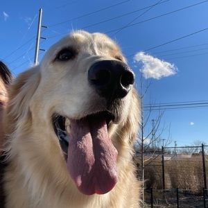 Meet your Posher, Chloe